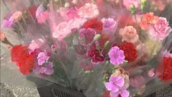 知っとぉ？淡路市のカーネーション 無料で花束を配りPR