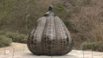草間彌生の代表作「南瓜」が六甲山で公開　六甲ミーツ・アートに向け先行展示