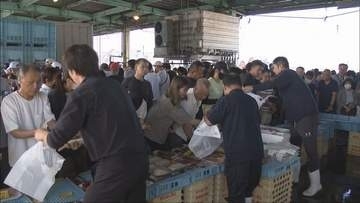 姫路市の漁港恒例　日曜朝の直売「やっぱり新鮮でおいしい！」