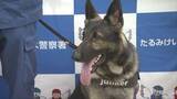 「行方不明の10代女性を20分で発見　兵庫県警　警察犬ユンカー号を表彰」の画像1