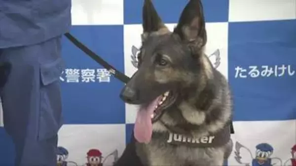 行方不明の10代女性を20分で発見　兵庫県警　警察犬ユンカー号を表彰