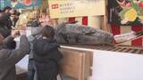 「「えべっさん」の総本社として知られる西宮神社で、商売繁盛を願う特大のマグロ奉納」の画像1