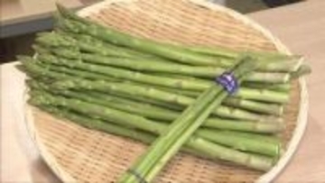 厳しい冬を越え大きく甘く成長　三田市でアスパラガスの出荷最盛期