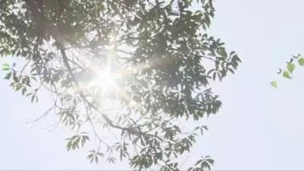 熱中症か　姫路市で90代の男性死亡　県内には連日熱中症警戒アラート