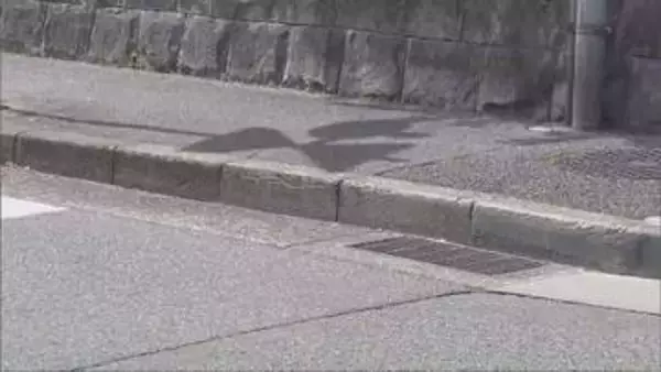 加古川で高齢女性重傷　ひき逃げの疑いで車を運転していた大学生の男を逮捕