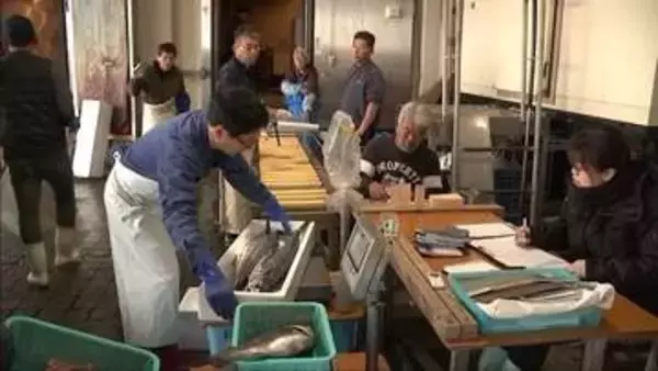 瀬戸内海に春の訪れを告げるサワラ漁が解禁　水揚げが始まった洲本市の漁港に活気