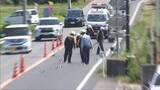 「南あわじ市の国道 高齢女性死亡　ひき逃げか」の画像1