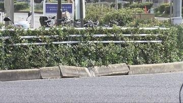 神戸市兵庫区の交通事故　軽自動車には19歳の男女5人が乗車　1人死亡2人意識不明