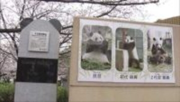 市民に愛された歴代パンダに感謝を込めて　王子動物園に石碑設置