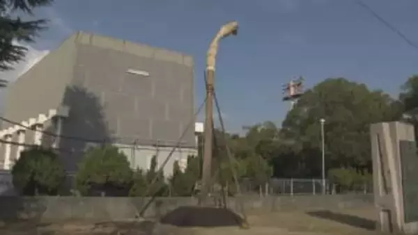 大阪・関西万博インドネシア館の木が尼崎に移植　記憶を後世に