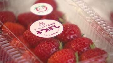 播磨地域８市８町が連携　地場産品や特産品の魅力を紹介