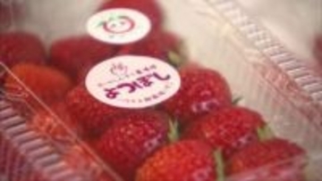 播磨地域８市８町が連携　地場産品や特産品の魅力を紹介