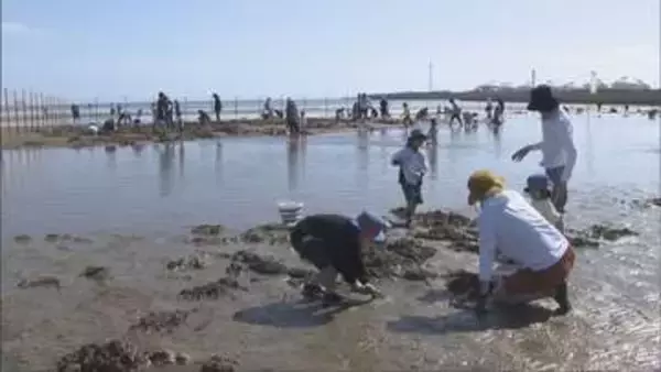 姫路白浜潮干狩り場 初日から家族連れでにぎわう