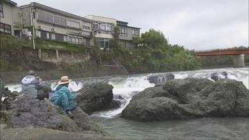 加古川中流の闘竜灘　アユ釣り解禁