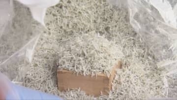 地元の魚の魅力をPR　垂水でフィッシュマーケット初開催