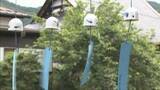 「出石焼の風鈴づくり最盛期 豊岡市」の画像1