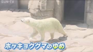 神戸市立王子動物園　ホッキョクグマに氷のプレゼント