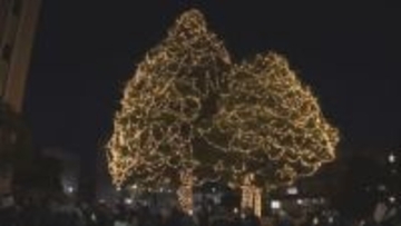 冬の夜　神戸の街や大学を照らす光の演出