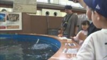 閉校の学校がレジャー施設になり１周年 三木市吉川町 釣り具メーカーが運営