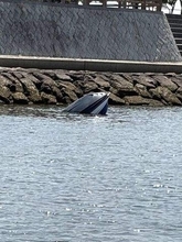 西宮市の沖合で水上オートバイが転覆 乗船の53歳と11歳の親子にけがなし 航行中に船内が浸水