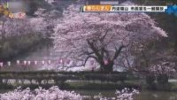 花見日和の１日　丹波篠山市で市長室開放　篠山城跡とサクラを一望