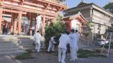 「神戸・生田神社で恒例「杉盛づくり」　新年準備進む 正月三が日80万人の参拝見込む」の画像1