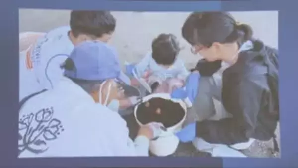 能登被災地にスイセン　上皇后 美智子さまが贈られた神戸・長田から