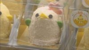 山陽百貨店　名古屋以外で初　さくらぴよりんが販売