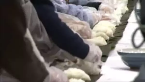 約30メートルを一気に巻く「じゃんぼ巻きずし大会」豊岡市竹野地区