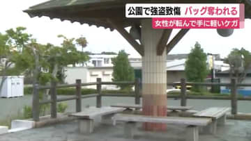 夜の公園で女性が男にバッグ奪われる　女性は転倒して軽傷　男は灰色のスウェット上下　警察は強盗致傷事件として男の行方追う