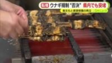ウナギの輸出規制「否決」に静岡県内の料理店でも安堵の声　12月の本会議で正式決定の見通し