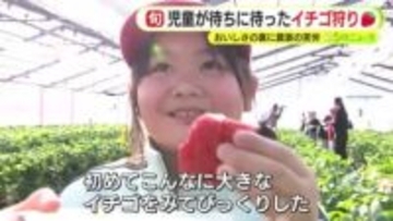 児童が待ちに待ったイチゴ狩り　おいしさの裏に農家の苦労