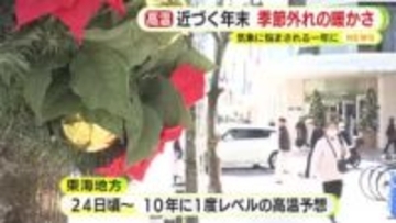 年末近づくも季節外れの暖かさ　スキー場はゲレンデのオープンを延期　クリスマスを前にイチゴは収穫に遅れ「出したくても出せない」　気象に悩まされる1年に