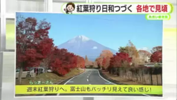 晴れつづき「乾燥」　19日は冬の寒さ【静岡・ただいま天気　11/18】
