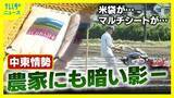 「売りたくても売れない状況が現実味　燃油高・肥料高・米袋不足の三重苦　野菜作りは雑草との戦いが当たり前に？　マルチシートの不足で悲鳴　募る食材の供給不安への懸念　食卓に忍び寄る中東情勢の影」の画像1
