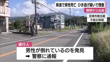 県道に倒れていた男性が死亡　ひき逃げ事件の疑いも　頭部から出血した状態　警察が捜査を進める