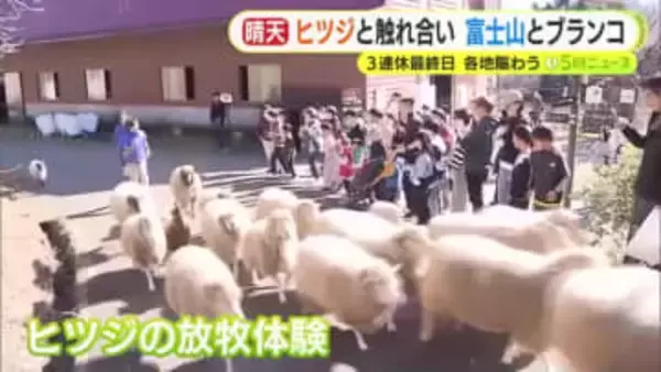 3連休は行楽日和　ヒツジとの触れ合い・富士山とブランコ・もみじ狩り 各地にぎわう