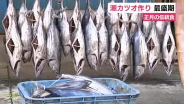西伊豆町の正月を飾る伝統食“潮カツオ”づくり最盛期　12月上旬頃に発送へ