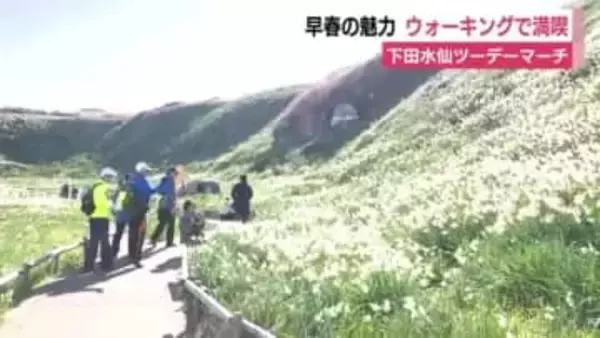 下田の早春の魅力を満喫　ウォーキングイベント「下田水仙ツーデーマーチ」　３７０人が参加して盛り上がる　静岡