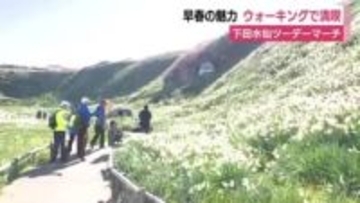 下田の早春の魅力を満喫　ウォーキングイベント「下田水仙ツーデーマーチ」　３７０人が参加して盛り上がる　静岡