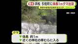 「体長1ｍほどのクマ出没…警察や猟友会がパトロール　周辺の小学校では下校は保護者が迎えに」の画像1
