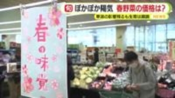 今シーズンの春野菜は？　ぽかぽか陽気が一転3日は真冬並みの寒さとなる場所も