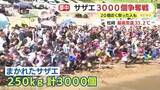 「【三連休スケッチ】「今年こそは！と意気込んで」サザエ3000個の争奪戦！　みしまコロッケ誕生18年を公式ソング合唱でお祝い　350年目の神幸祭で神輿の里帰りも」の画像1