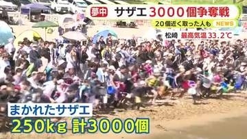 【三連休スケッチ】「今年こそは！と意気込んで」サザエ3000個の争奪戦！　みしまコロッケ誕生18年を公式ソング合唱でお祝い　350年目の神幸祭で神輿の里帰りも