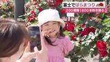 「赤やピンクに黄色　色とりどりのバラ咲き誇る　富士市中央公園で「ばらまつり」開催」の画像1