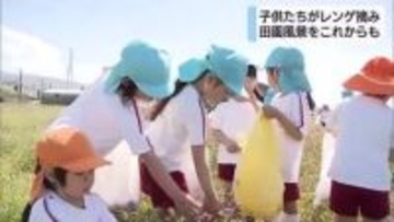 地元の田園風景をいつまでも　園児が種まきした畑でレンゲ摘み