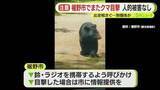 「「クマが自宅の裏手を…」　4月から目撃情報が10件寄せられるも…これまでとは別の個体の可能性が高く　人や建物の被害なし」の画像1