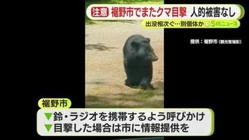 「クマが自宅の裏手を…」　4月から目撃情報が10件寄せられるも…これまでとは別の個体の可能性が高く　人や建物の被害なし