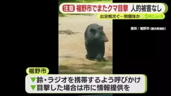 「クマが自宅の裏手を…」　4月から目撃情報が10件寄せられるも…これまでとは別の個体の可能性が高く　人や建物の被害なし