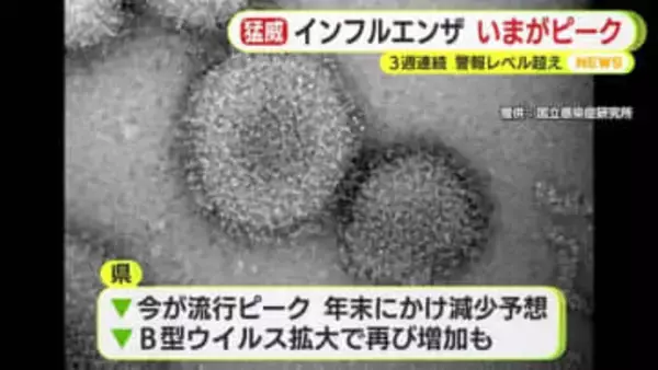 インフルエンザ”いまがピーク”　3週連続で警報レベル　依然として猛威　20歳未満が全体の8割　B型ウイルスが増　年明け以降に再び増える可能性も